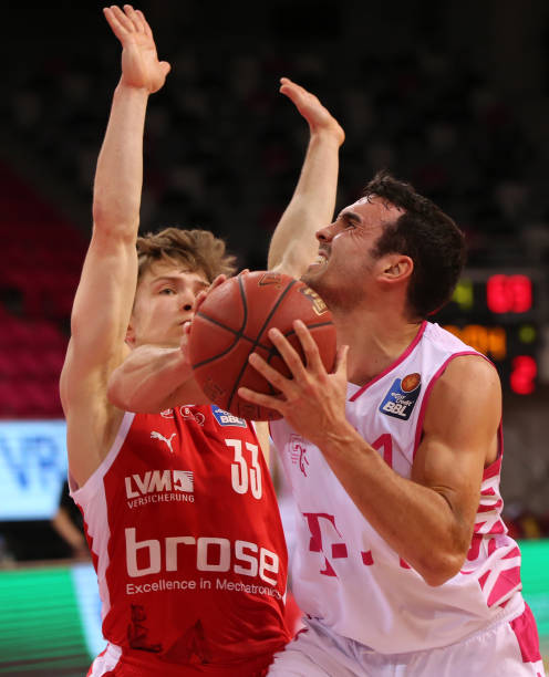 领头羊的意 领头羊的意